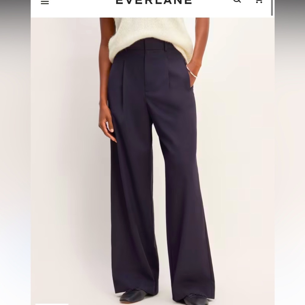 NWOT Everlane The Italian Wool Way-High® Drape Pant